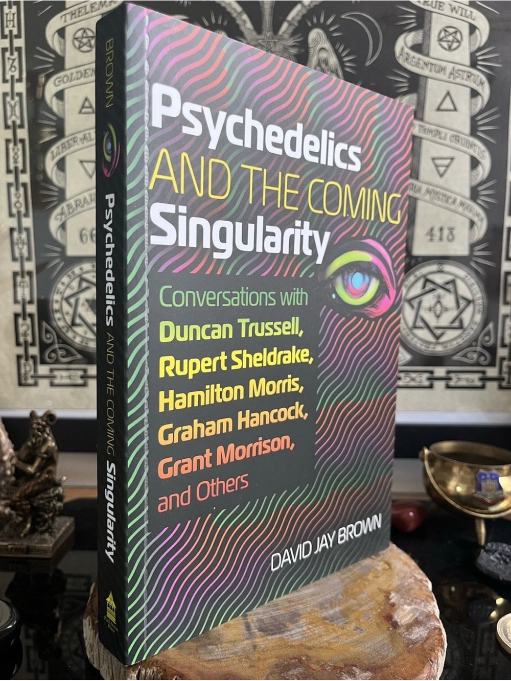 Psychedelics and the Coming Singularity - Paperback
